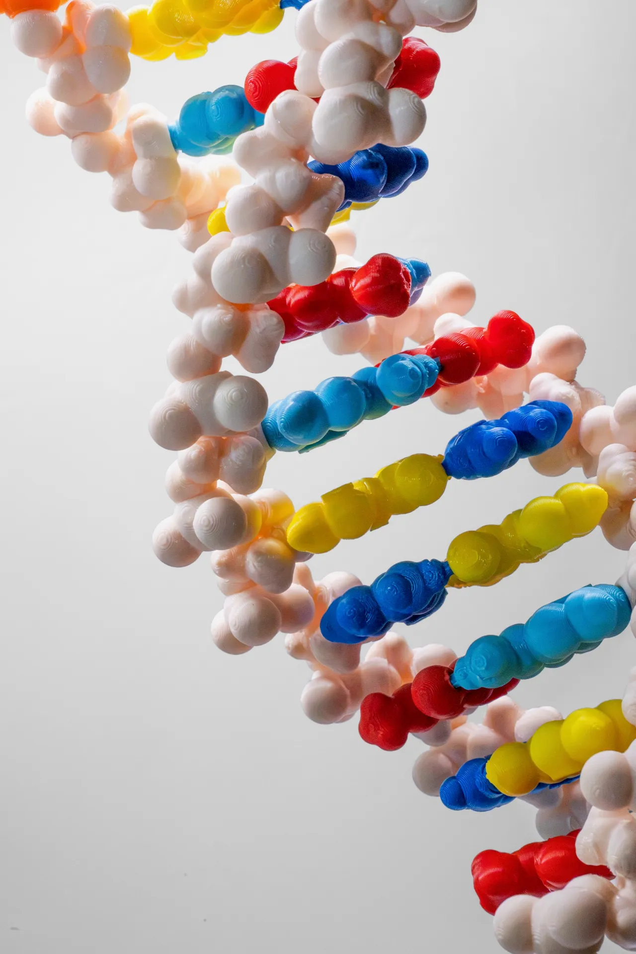 Close-up of a colour-coded DNA double helix model built from HANDS kit pieces