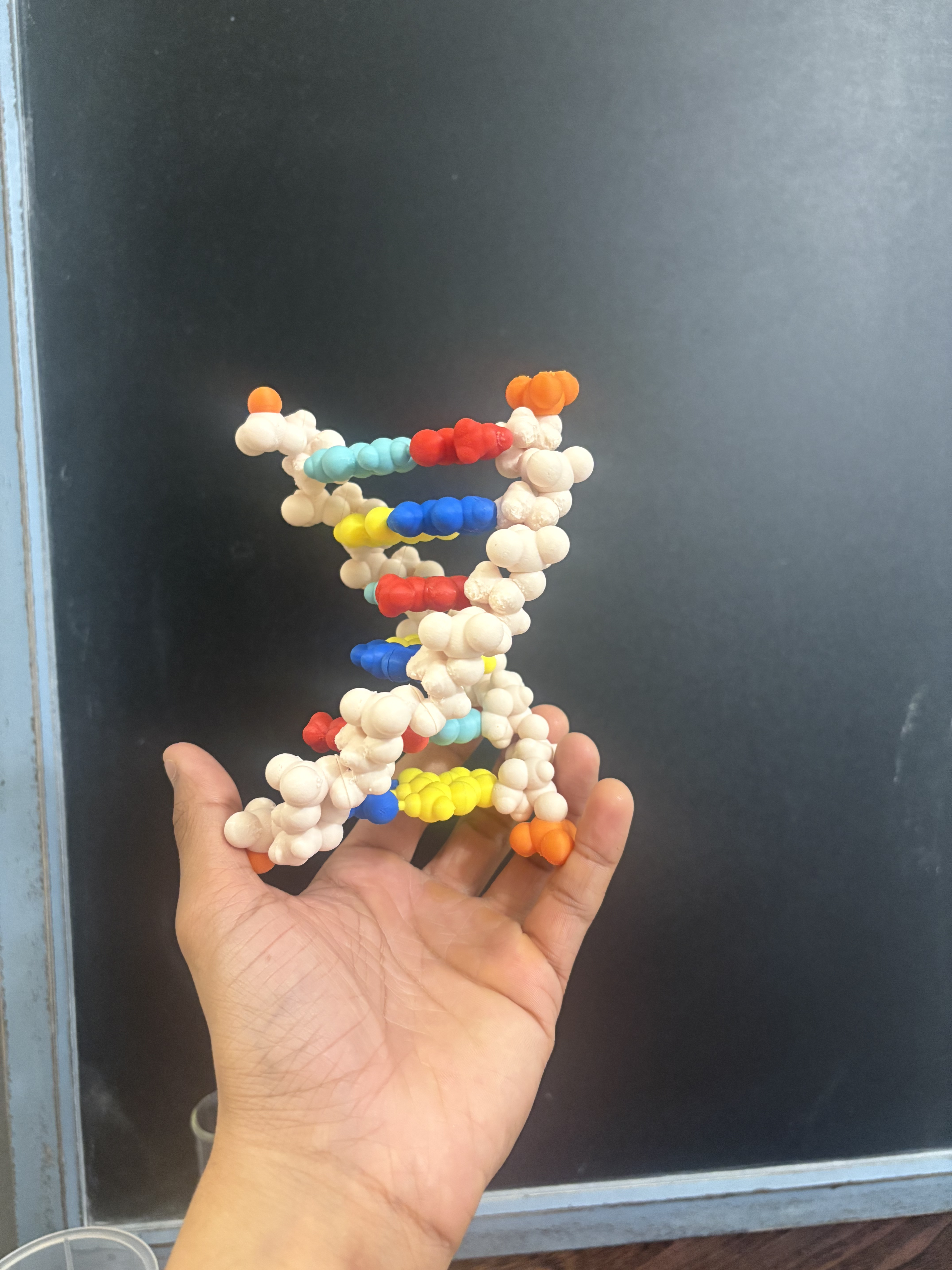 Assembled student DNA and RNA kit